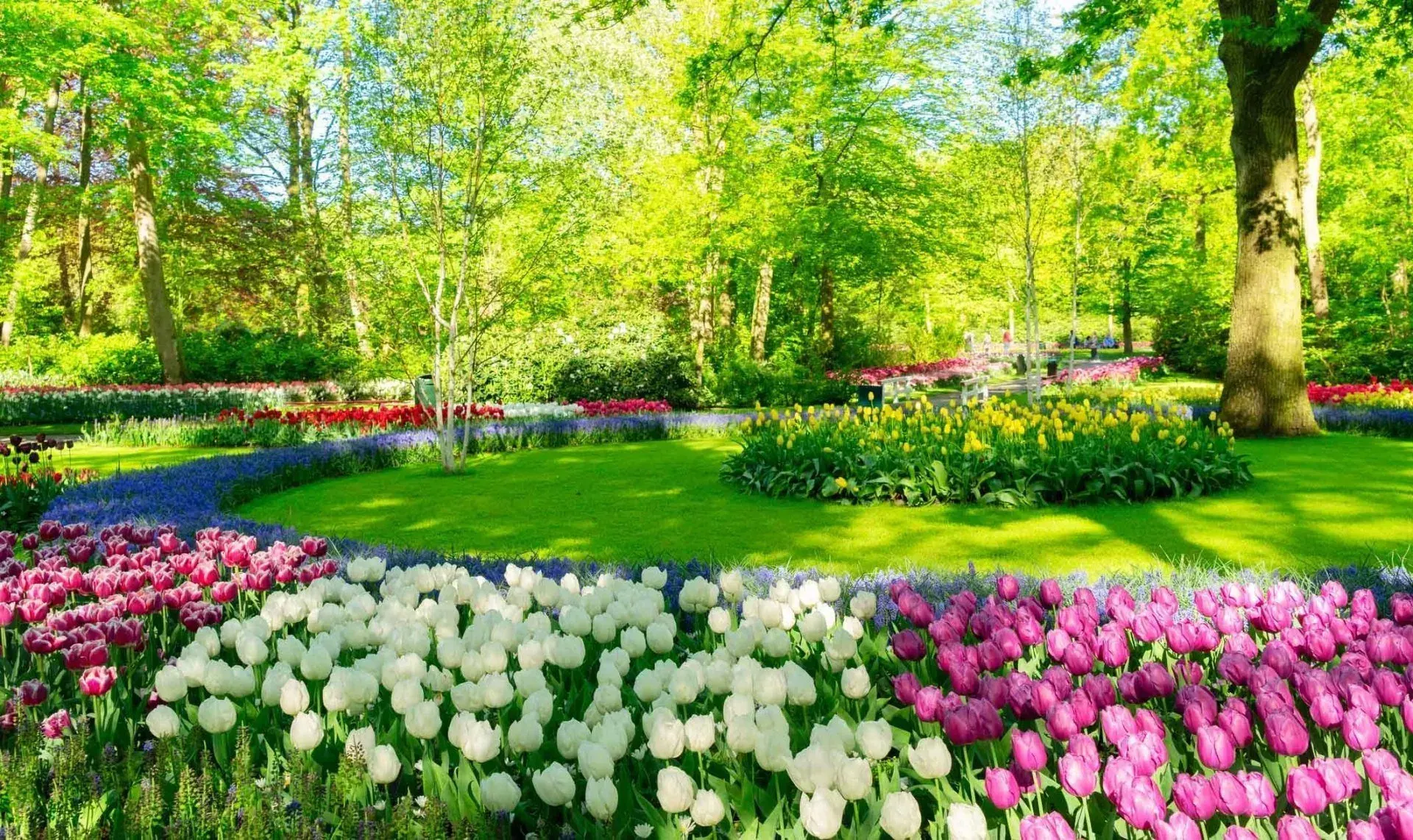 Native Michigan perennials supporting pollinators in a natural planting