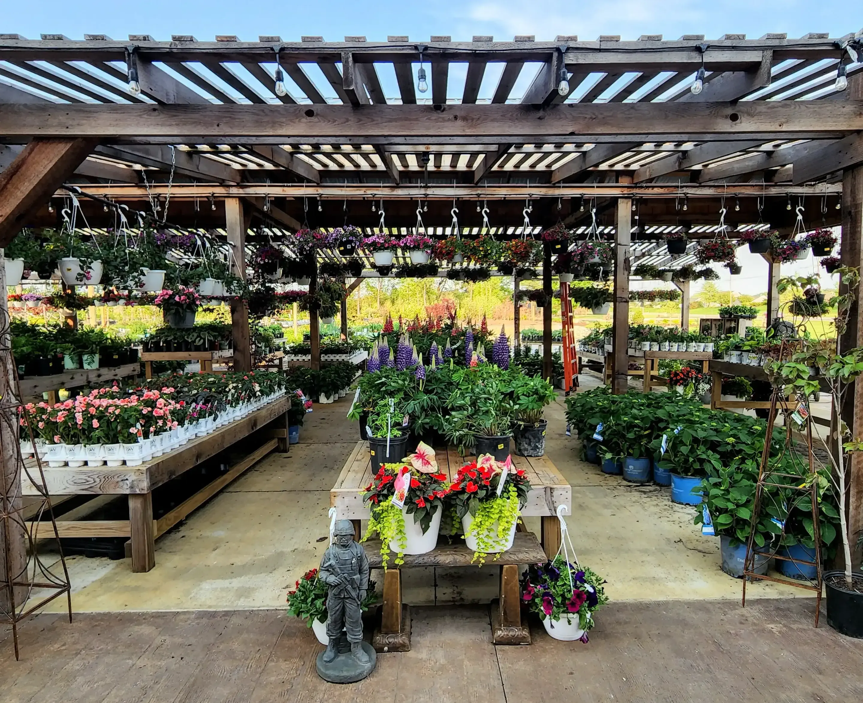 Fast-growing perennials filling in a newly planted garden bed