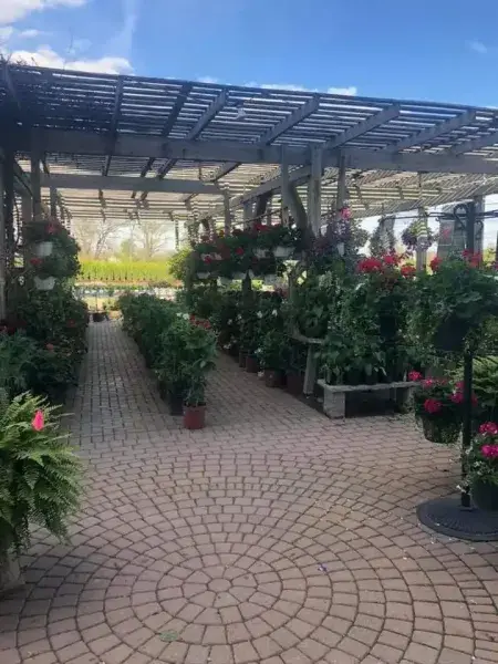 Brick paver walkway through the pergola lined with hanging baskets